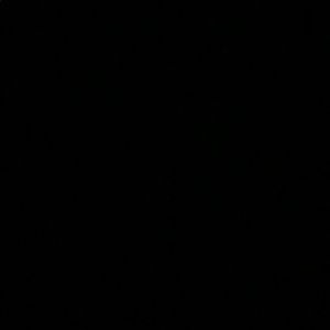 Meet your Posher, Ryann